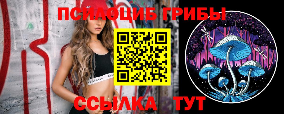 Псилоцибиновые грибы ЛСД Сочи